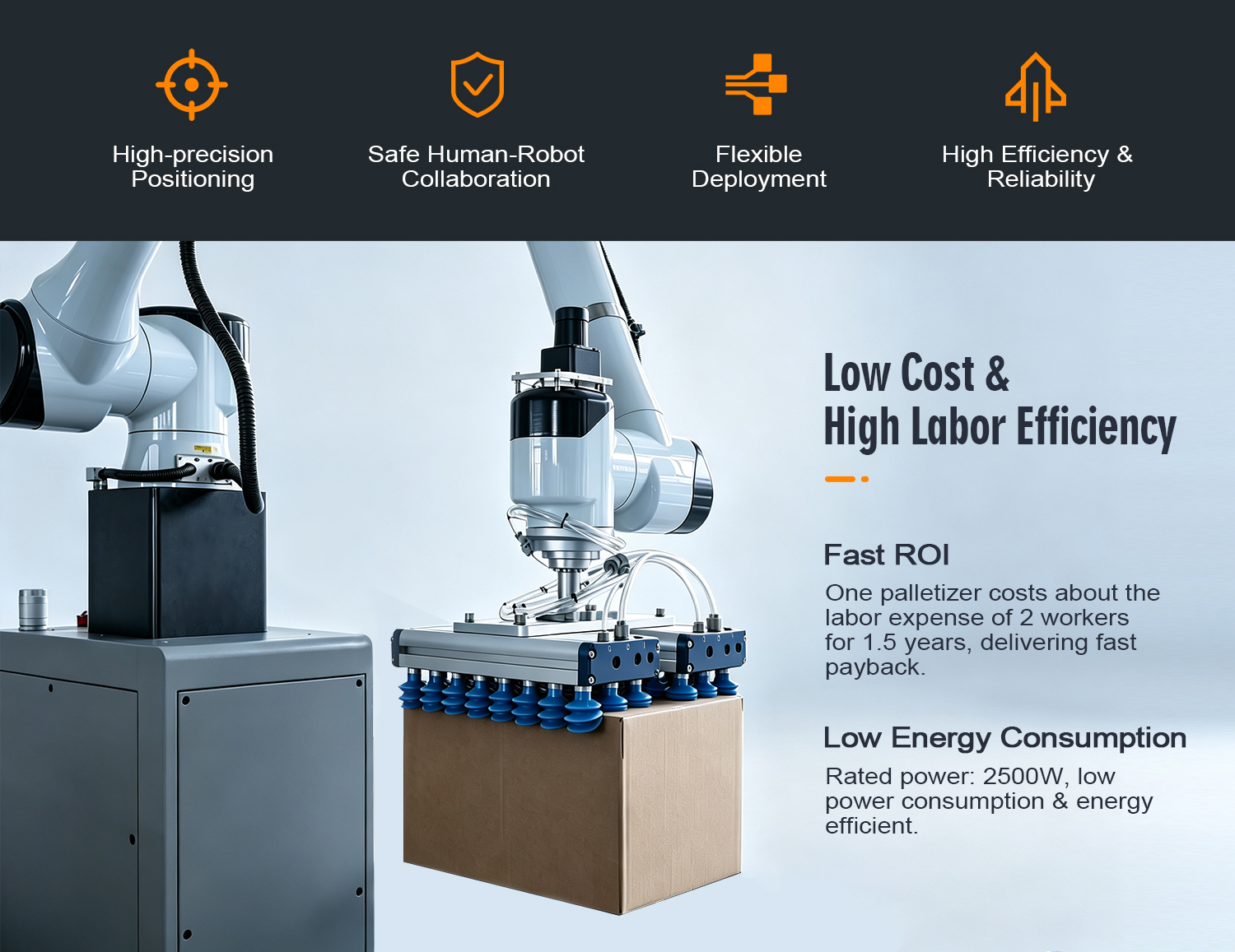 GURKI Cobot Palletizer Kartondozen