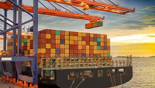 Verzending container kunststof pallets