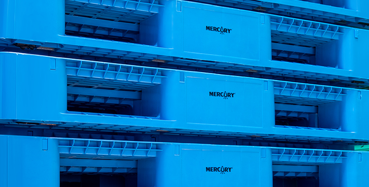 Fabrikant, beste prijzen, Europese standaardmaat, nieuwe en gebruikte plastic Epal pallet 1200 x 1000 te koop