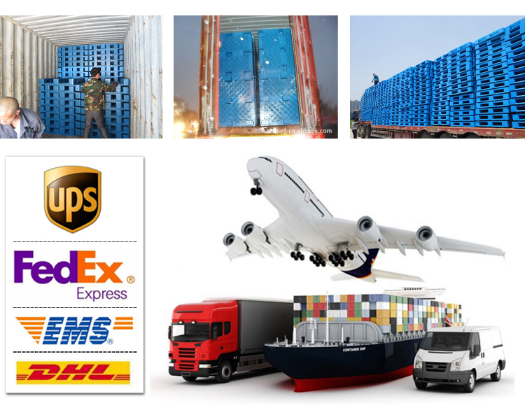 Verpakking en logistiek proces